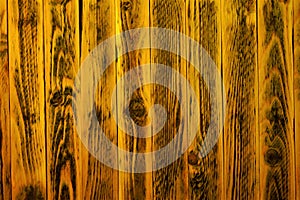 Wood background, many fibers form an abstract unique pattern. Wood texture background is a natural pattern of wood cut, reflecting
