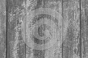 Wood background, old color peeling texture black and white