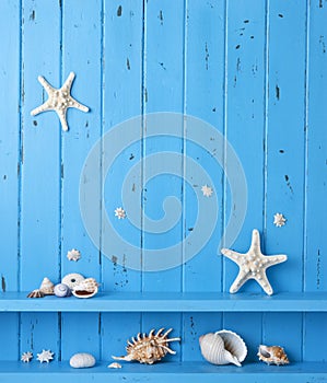 Wood Background Shells Starfish