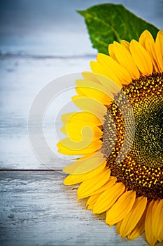 Wood background with sunflowers
