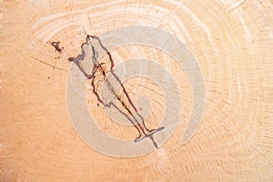 Wood background and textrue