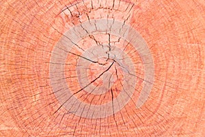 Wood background and textrue