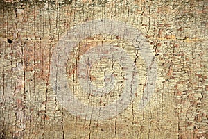 Madera textura 