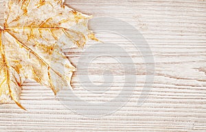 Wood Background Texture and Leaf, Autumn White Wooden Board