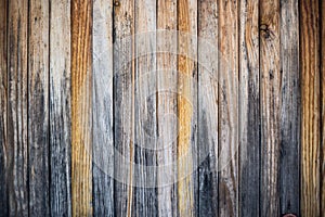 Wood Background Texture. Old boards