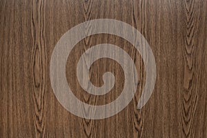 Wood background texture. Texture of wood background closeup