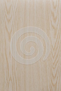 Wood background texture. Texture of wood background closeup