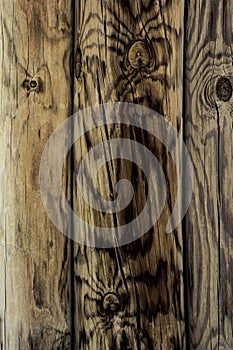 Wood Background Texture