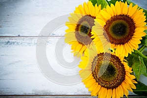 Wood background with three sunflowers