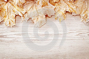 Wood Background White Leaves, Autumn Wooden Grain Board Texture