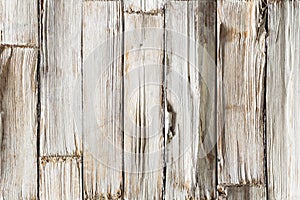 Wood Background, White Wooden Planks Texture, Timber Wall