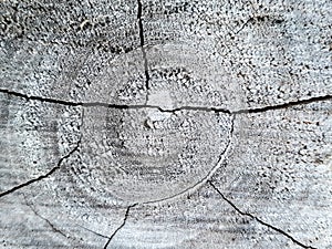 Wood background ,woodpattern