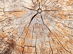 Wood background ,woodpattern