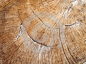 Wood background ,woodpattern