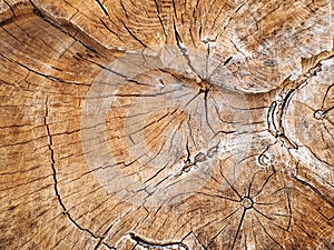 Wood background ,woodpattern