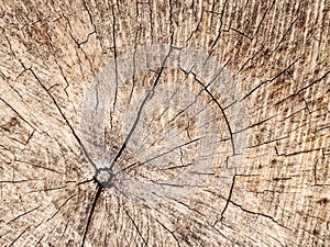 Wood background ,woodpattern