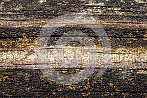 Wood background with worn weathered texture