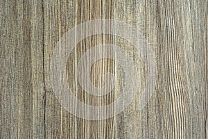 Wood Backgrounds