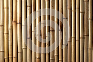 Wood Bamboo Background