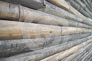 Wood Bamboo Background