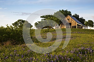 Wood Barn on the Bluebonnet Trail Near Ennis, Texas