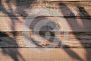 Wood barn wall plank texture background with light and shadow in the morning day, top view of old wooden