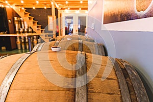 Wood Barrels in a Tap House or Brew Pub