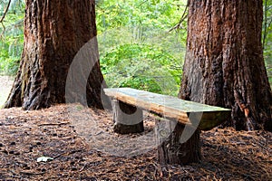 Wood bench