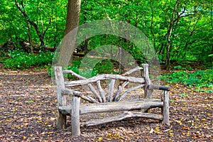 a Wood bench in Central Park, New York City