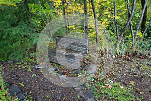 Wood bench covered in lichen in the forest