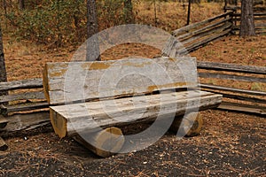 Wood bench in the fall