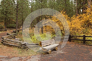 Wood bench in the fall