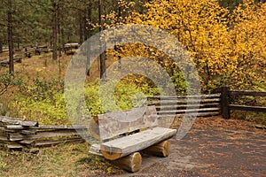 Wood bench in the fall