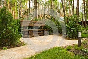 Wood bench in park