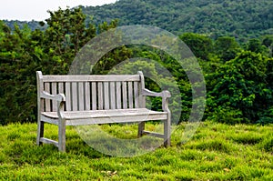 Wood bench in the park