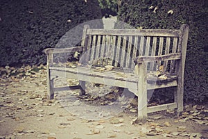 Wood bench in park, Paris, France