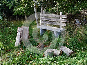 Wood bench for rest and relaxation in a forest