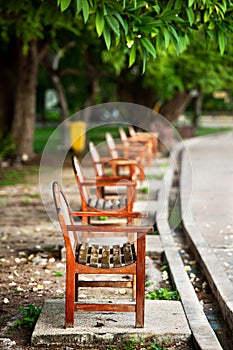 Wood bench under tree