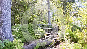Wood bench under tree on the route
