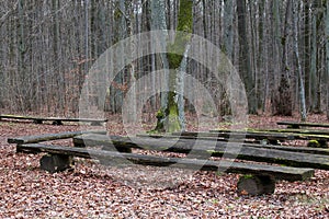 Wood Benches in the autumn forest