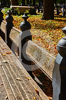 Wood benches in detail at The Mall in Central Park New York City