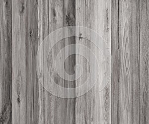 Wood Black and white background texture. Blank for design