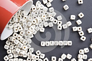 Wood Blocks with the word Feedom. Wooden ABC