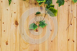 Wood board with green leaf