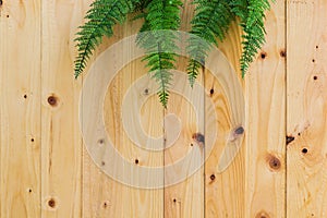 Wood board with green leaf