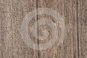 Texture of wood background closeup
