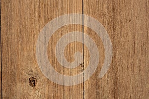 Texture of wood background closeup