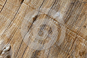 Wood board texture macro photo. Brown timber with weathered cracks. Natural background for vintage design.