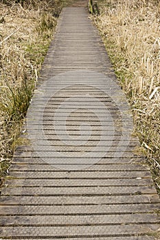 Wood boardwalk in a country park in England