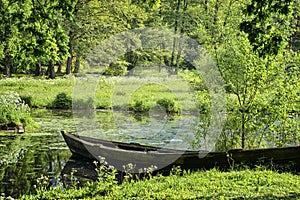 Wood boat is landing near the shore of the pond. Lush foliage are reflected in the calm water surface